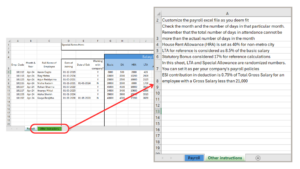 'Other tab' in the excel file template for payroll